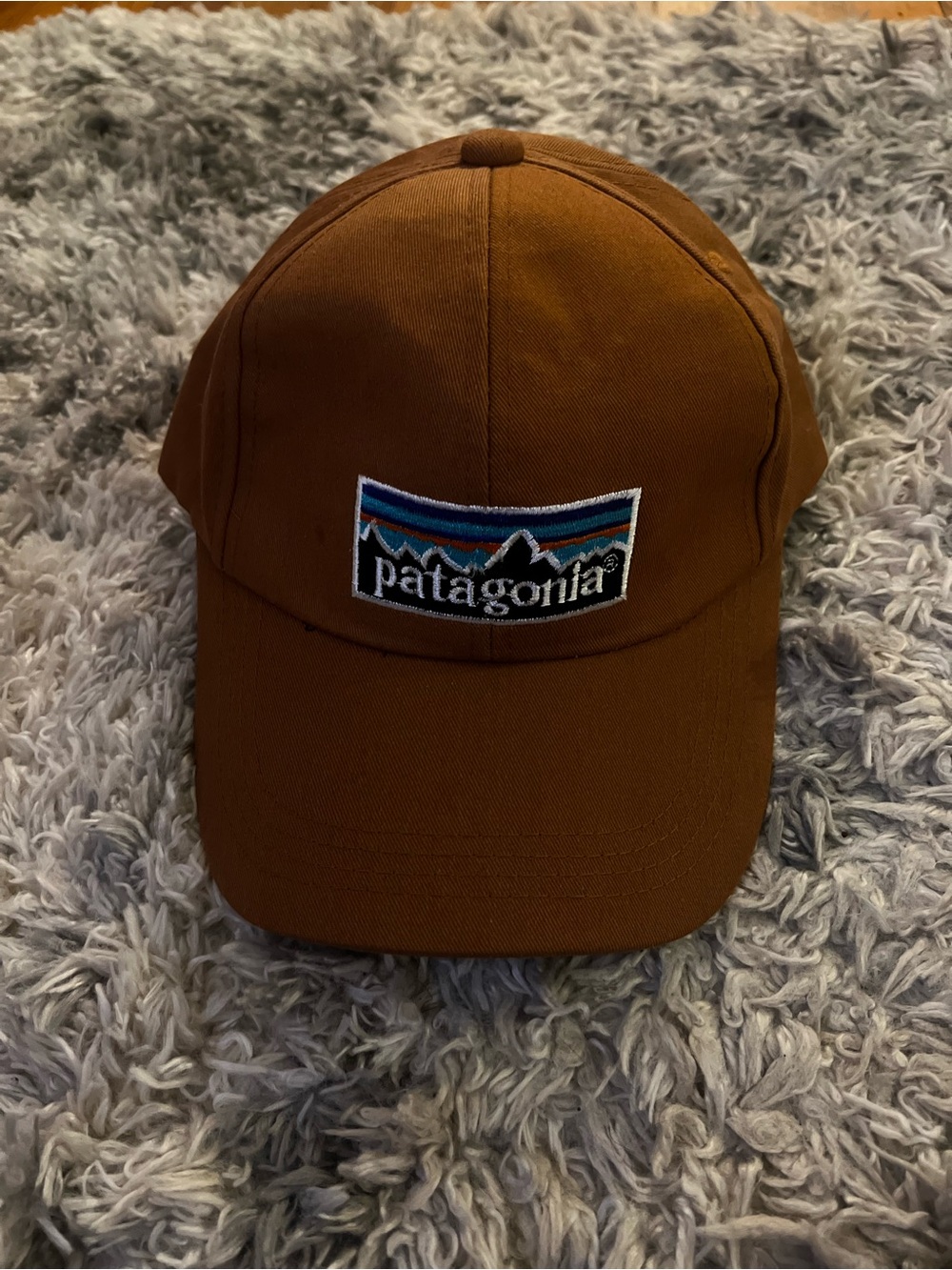 Patagonia Men's Rust Brown Logo Baseball Cap
